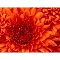 test news 2222